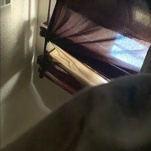 Meet your Posher, Carly